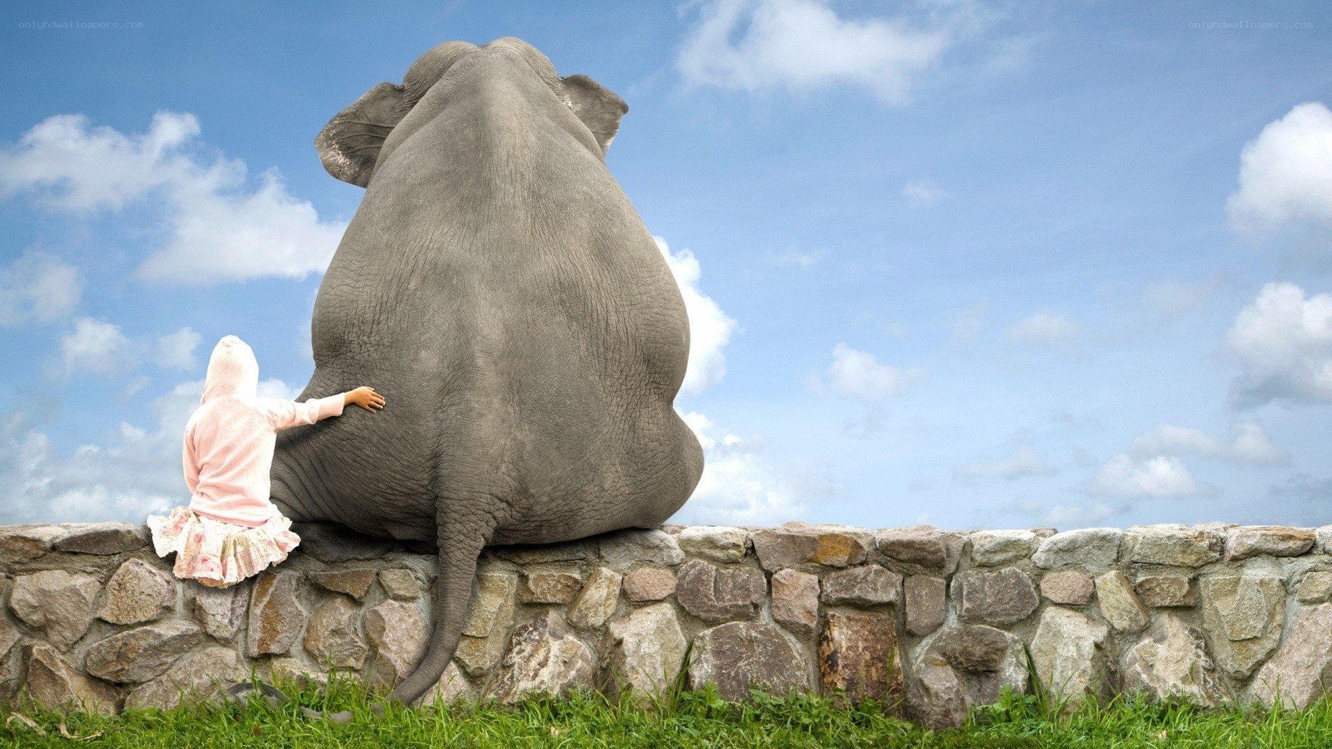 child and elephant on wall