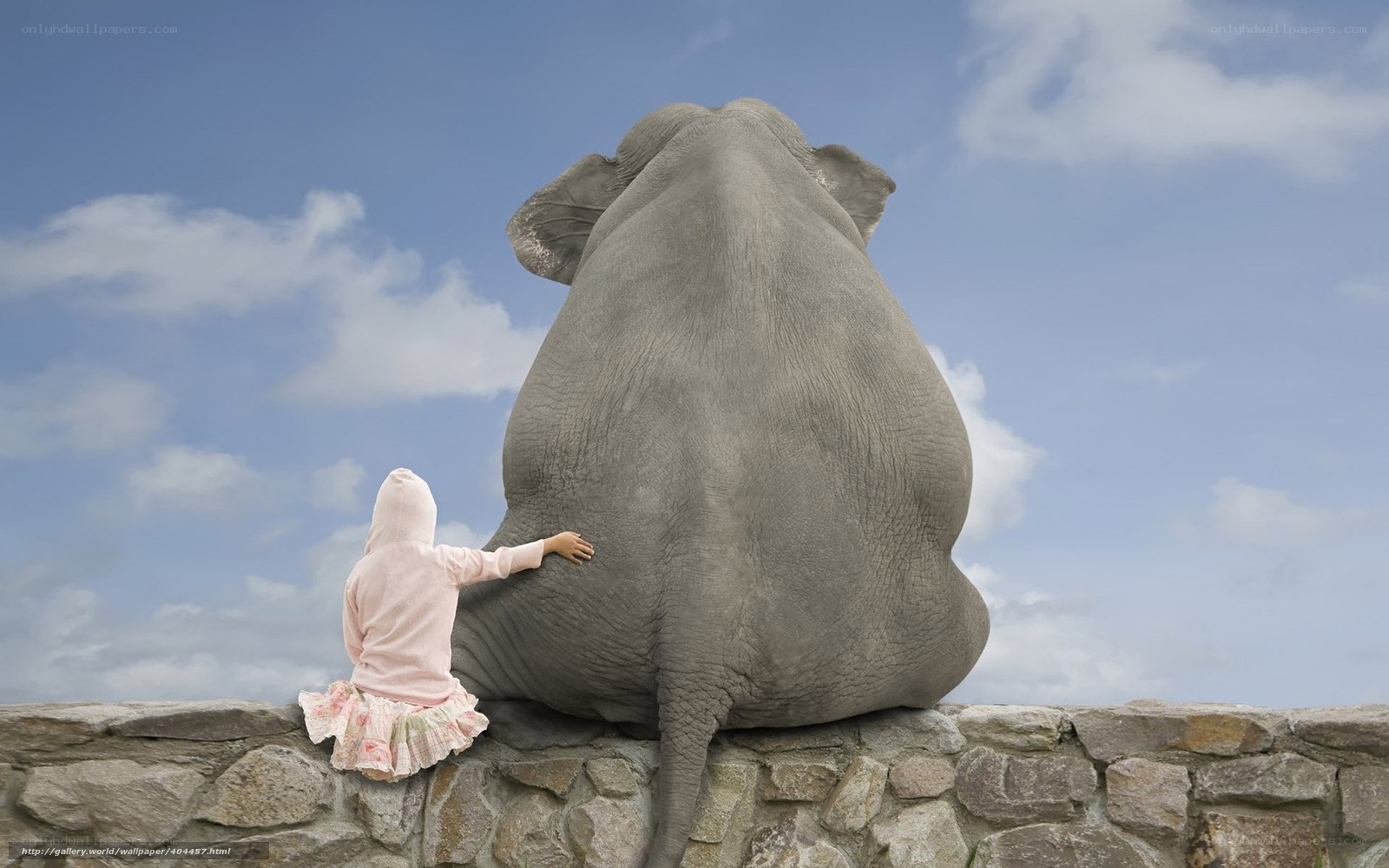 child and elephant on wall