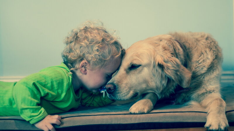Child and Golden Retriever — Green