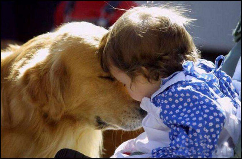 Child and Golden Retriever