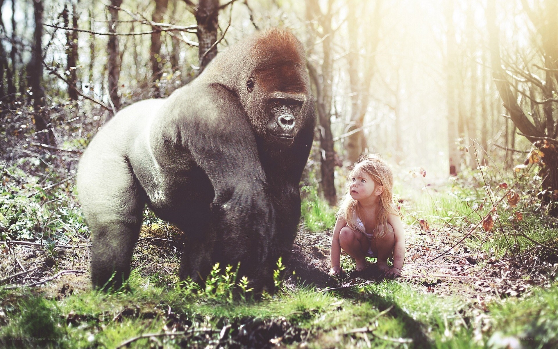 child and gorilla in forest