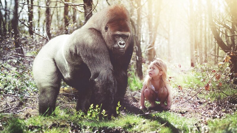 Child and Gorilla