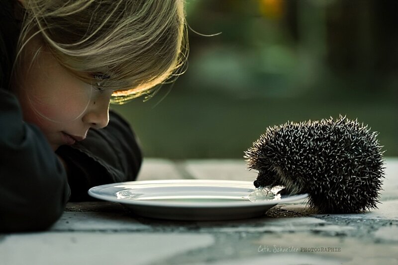 Child and Hedgehog