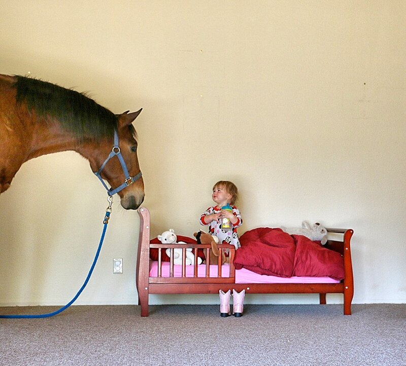 Child and Horse in Bedroom