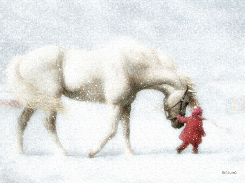 Child and Horse in Snow — White