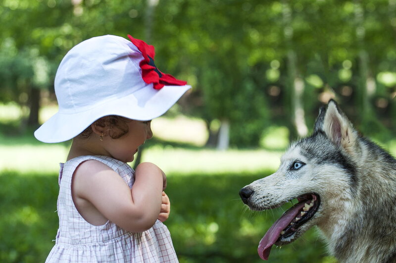 Child and Husky Dog — Green