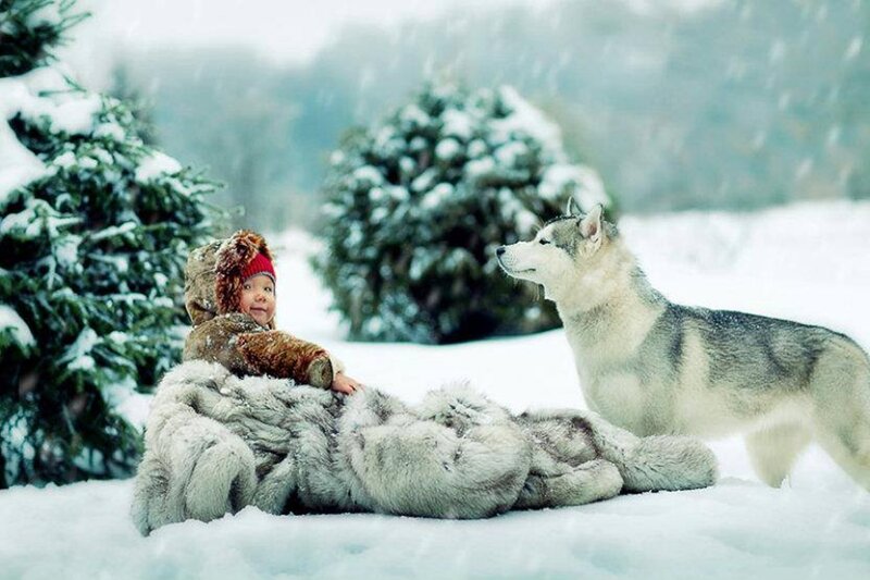 Child and Husky in Snow — White