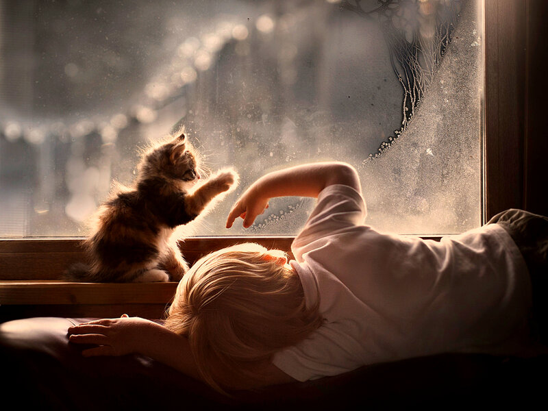 Child and Kitten at Window
