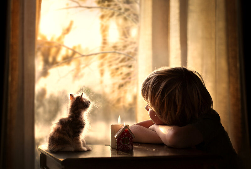 Child and Kitten by Window