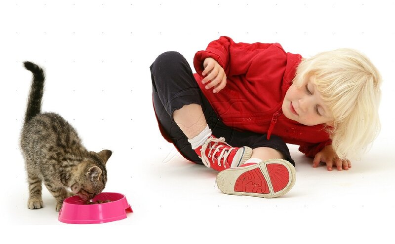 Child and Kitten Eating