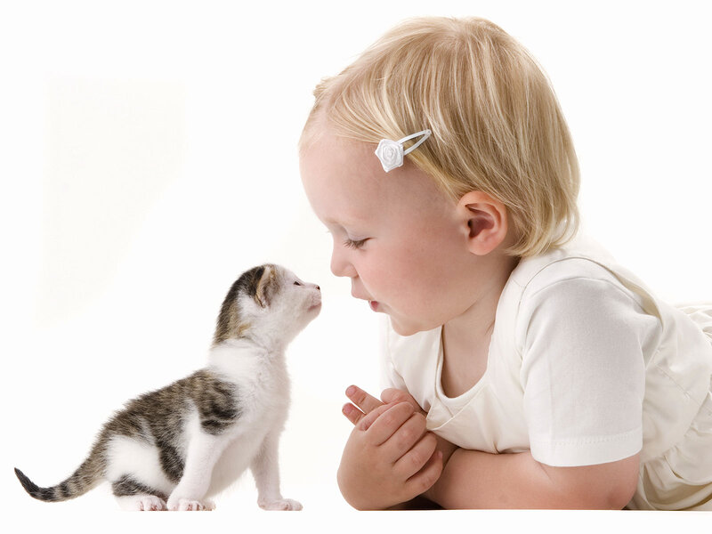 Child and Kitten