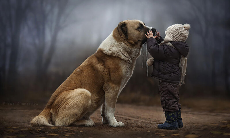 Child and Large Dog — Brown, Serene