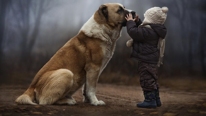 Child and Large Dog — Brown, Serene, Winter