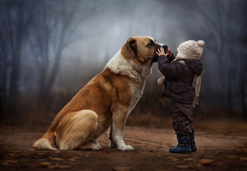 Child and Large Dog — Brown
