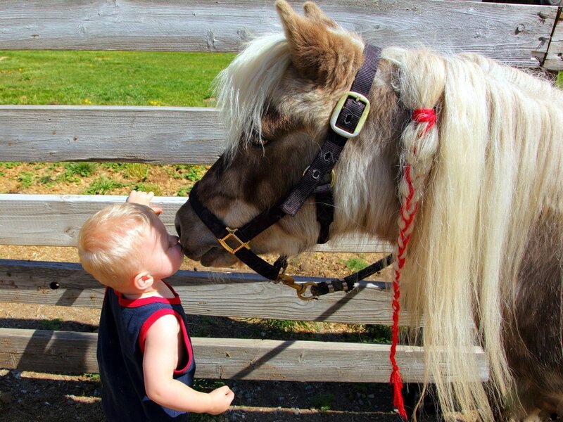 Child and Pony