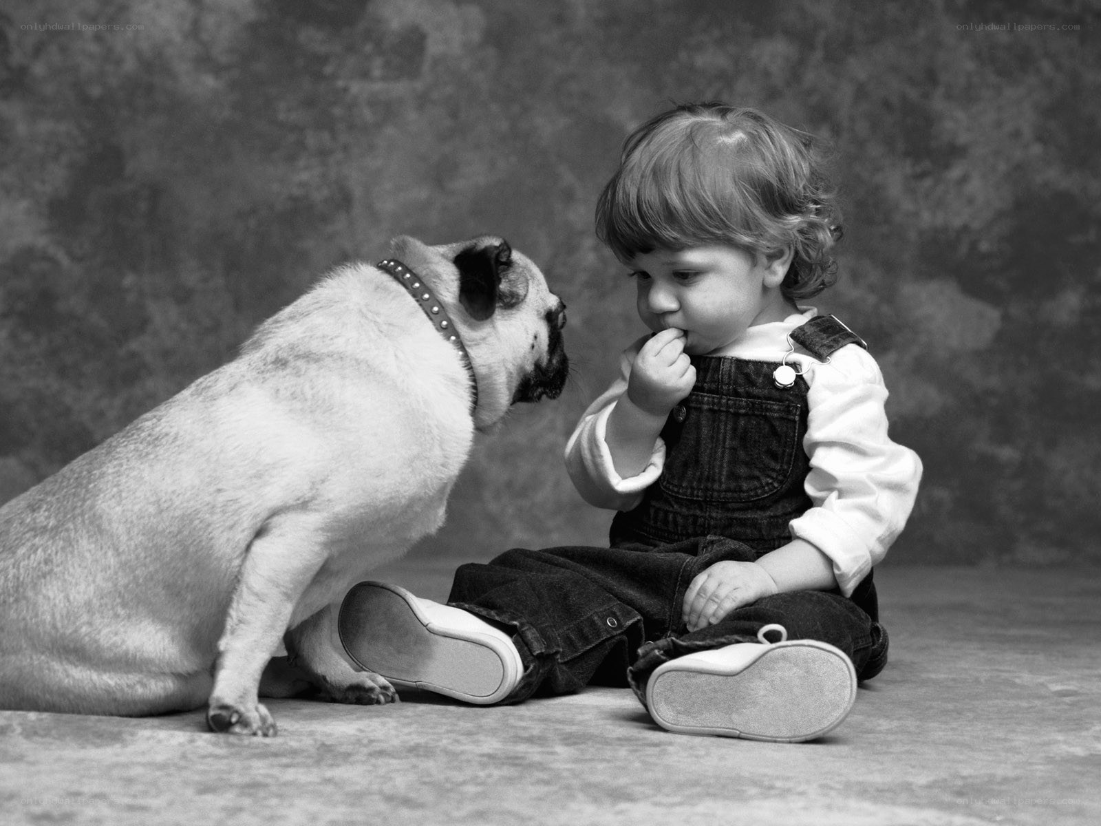 child and pug dog sitting