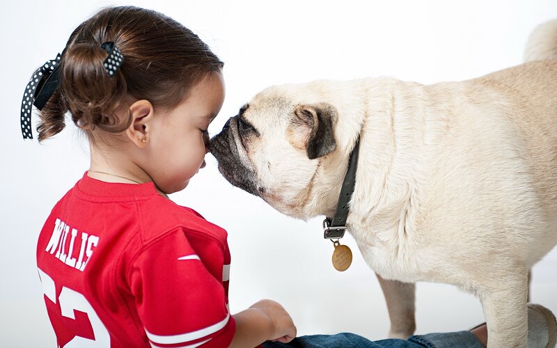 child and pug touching noses