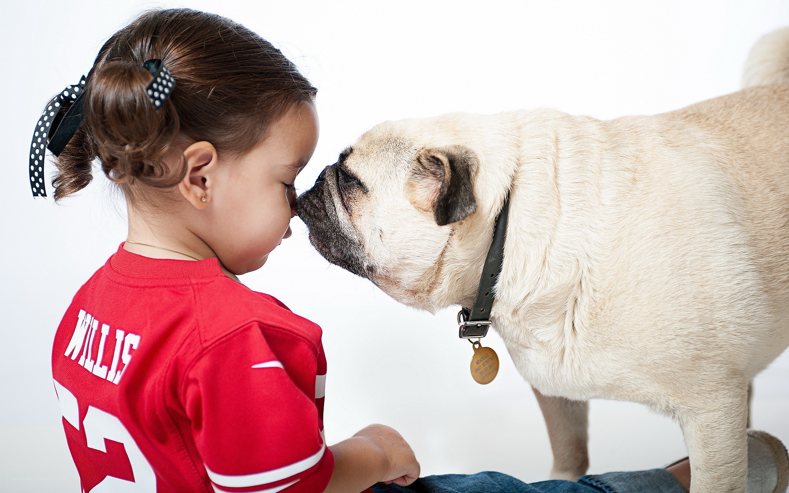 child and pug touching noses