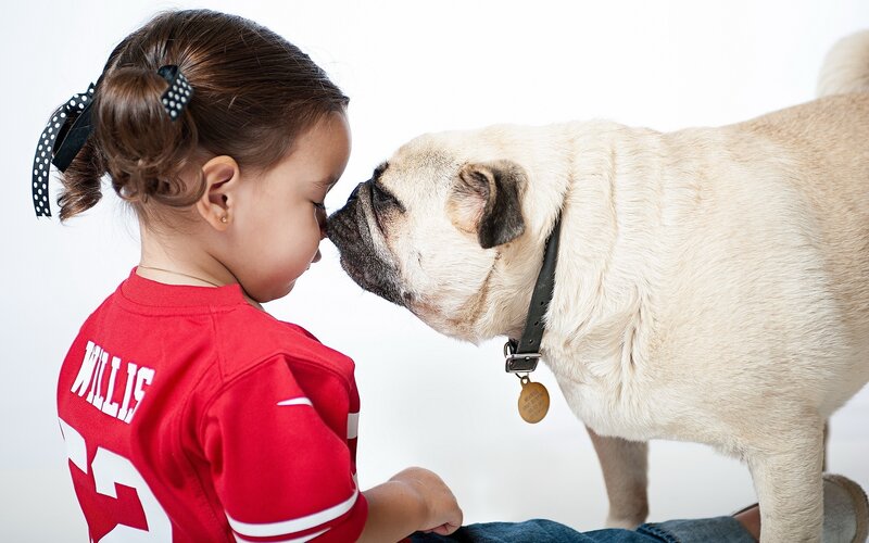 child and pug touching noses