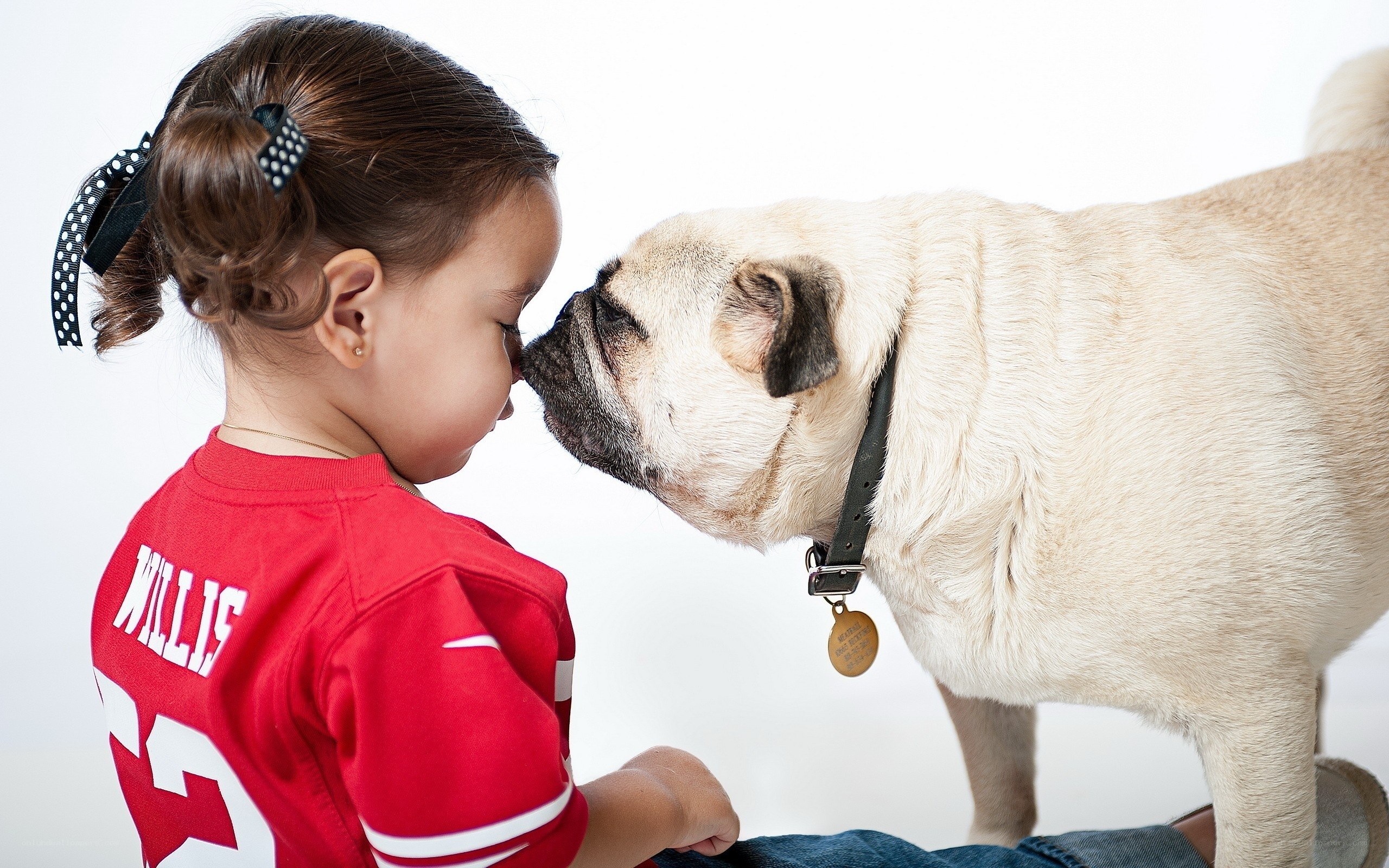 child and pug touching noses
