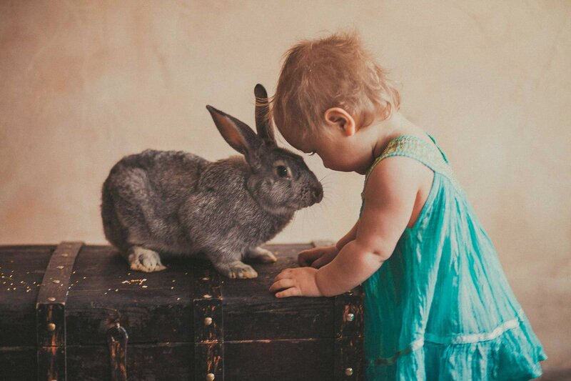 Child and Rabbit