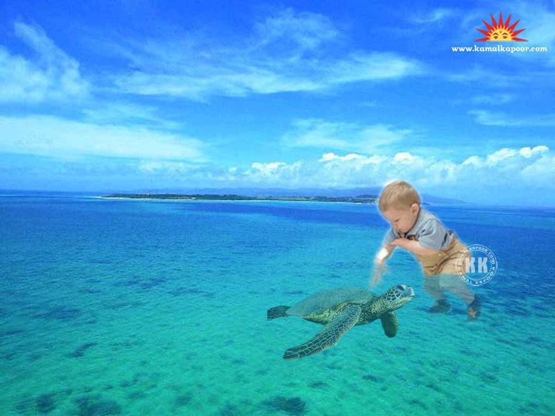 child and sea turtle in ocean