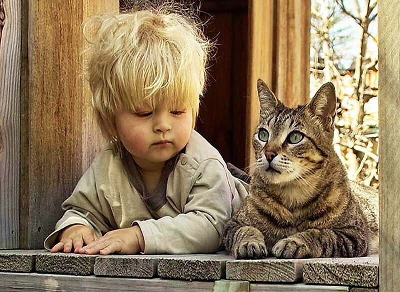 Child and Tabby Cat