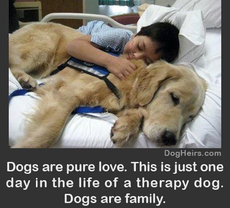 Child and Therapy Dog