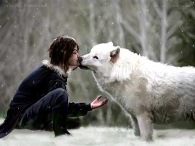 child and white wolf in snow