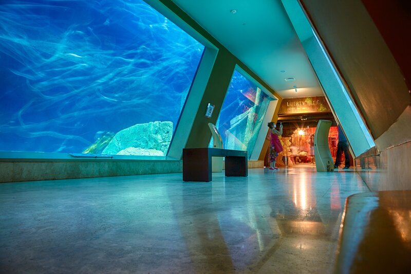 Child at Aquarium — Blue