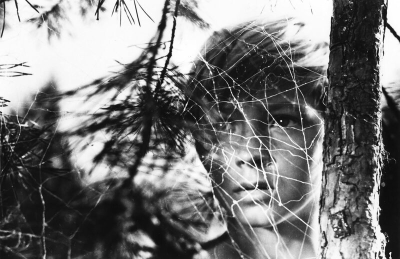 Child Behind Tree