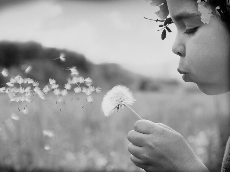 Child Blowing Dandelion — Black