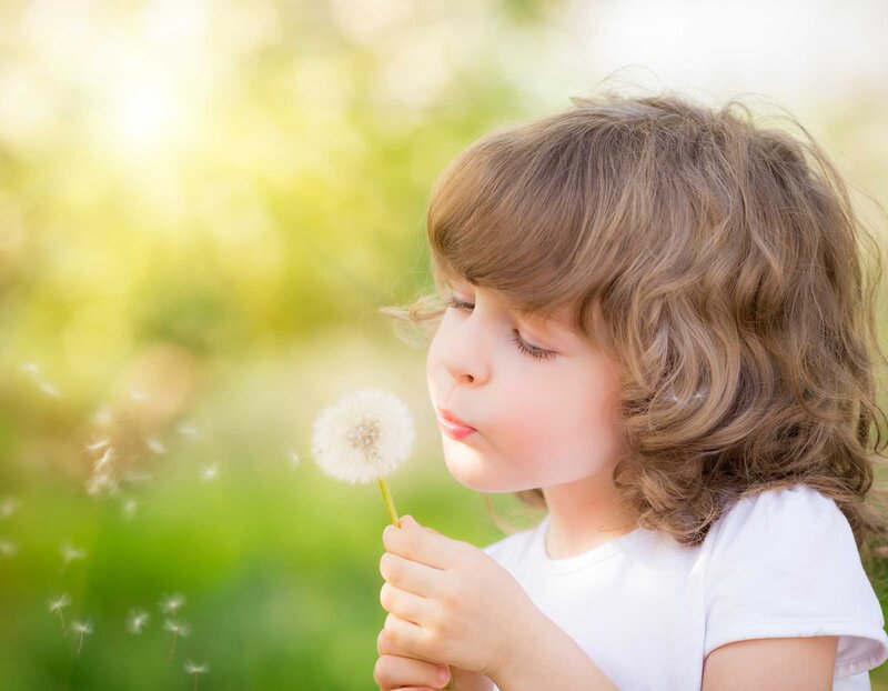Child Blowing Dandelion — Green, Serene, Afternoon, Photograph, Grass, Sunlight