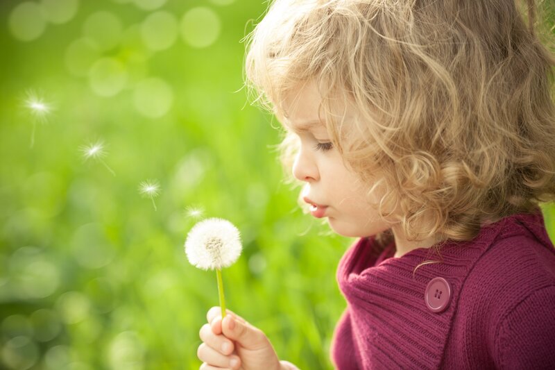 Child Blowing Dandelion — Green, Serene, Afternoon, Photograph, Grass