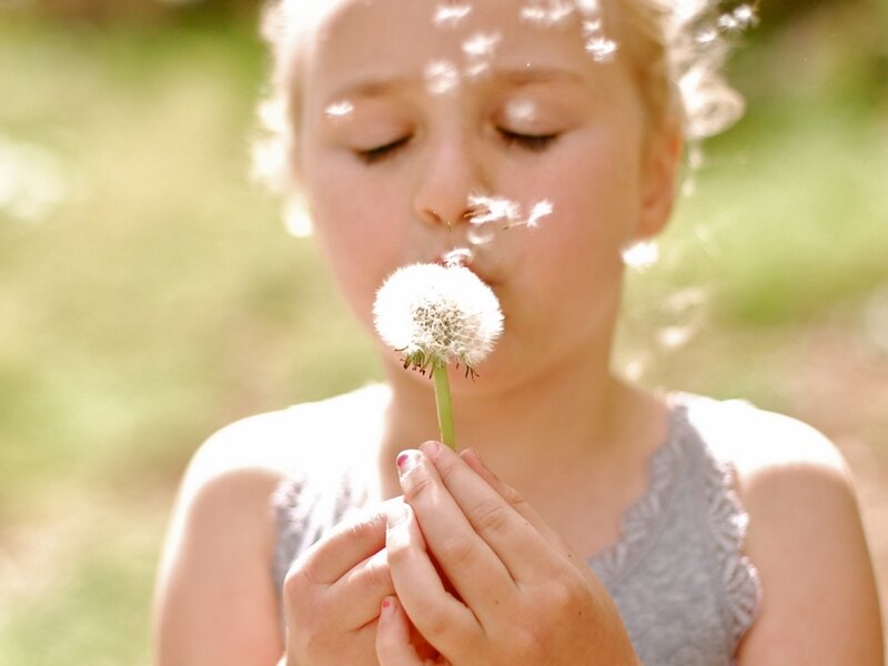 Child Blowing Dandelion — Green, Serene, Afternoon, Photograph, Hands, Sunlight