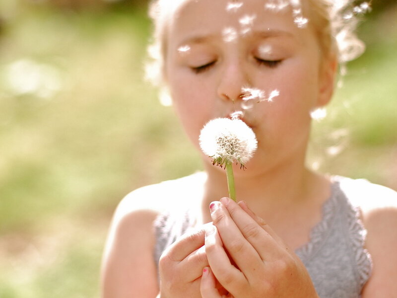 Child Blowing Dandelion — Green, Serene, Afternoon, Photograph, Hands
