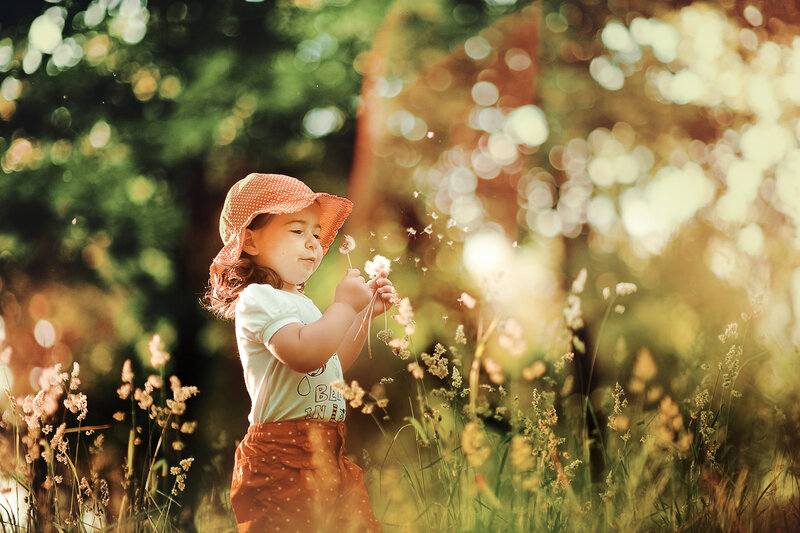 Child Blowing Dandelion — Green, Serene, Afternoon, Photograph, Hat, Field