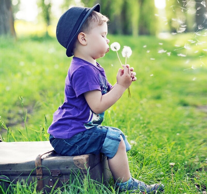 Child Blowing Dandelion — Green, Serene, Afternoon, Photograph, Hat