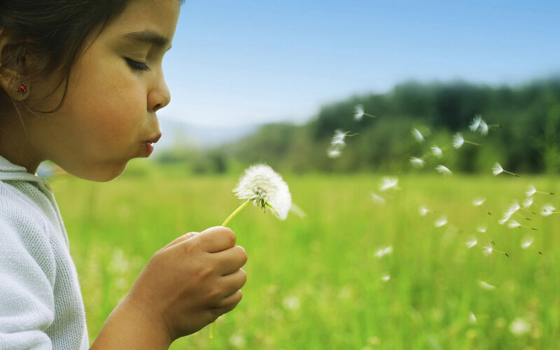 Child Blowing Dandelion — Green, Serene, Afternoon