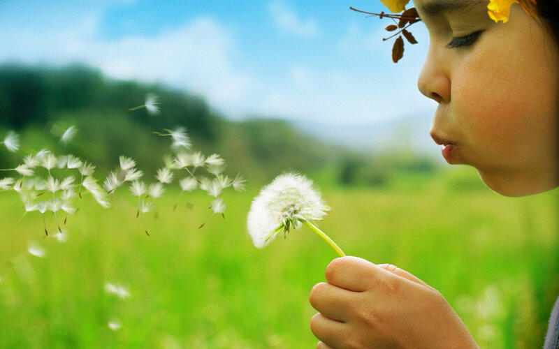 Child Blowing Dandelion — Green, Serene