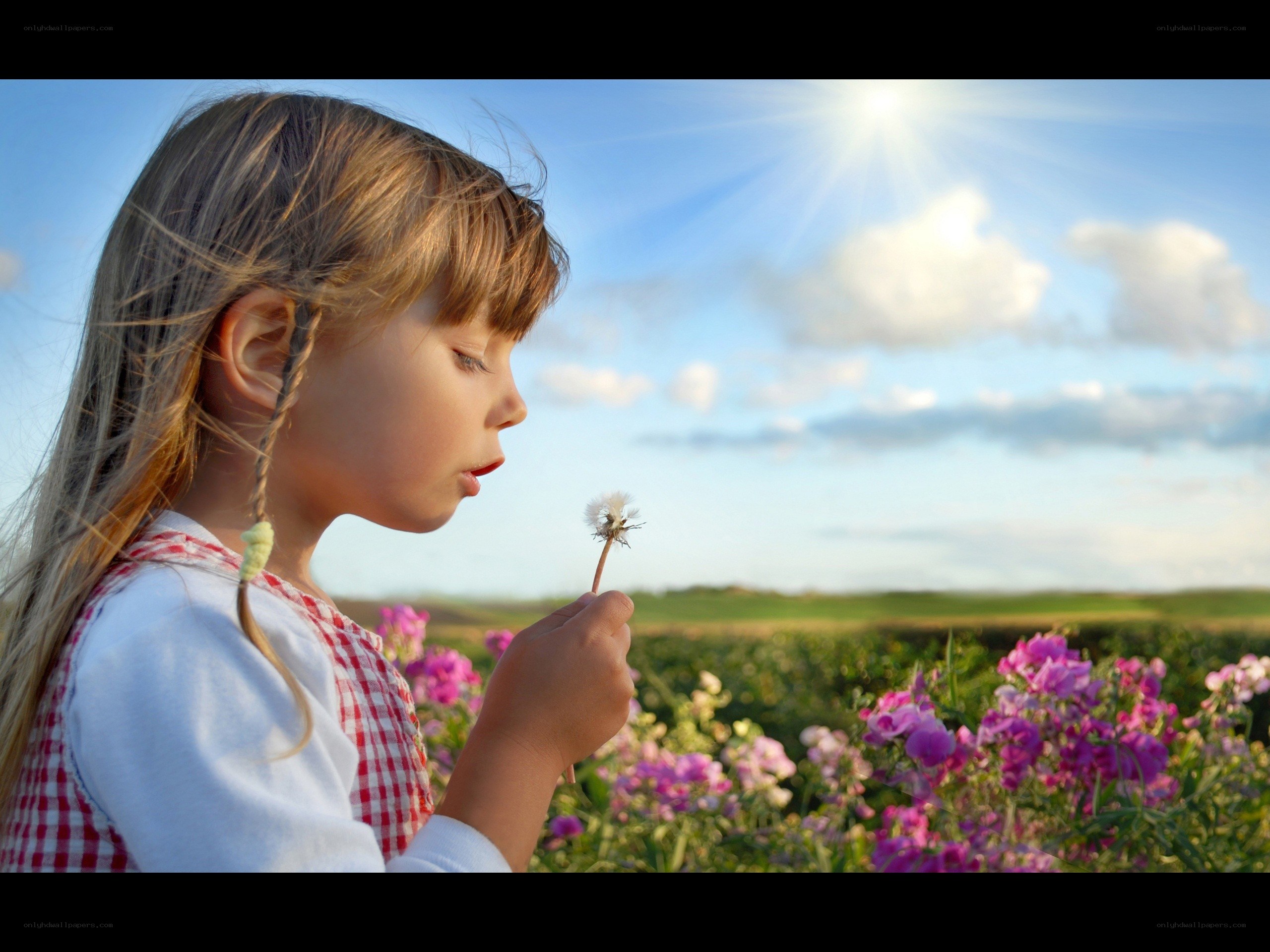 child blowing dandelion in field
