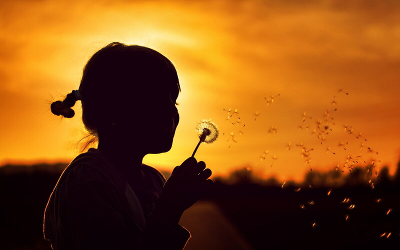 Child Blowing Dandelion — Orange