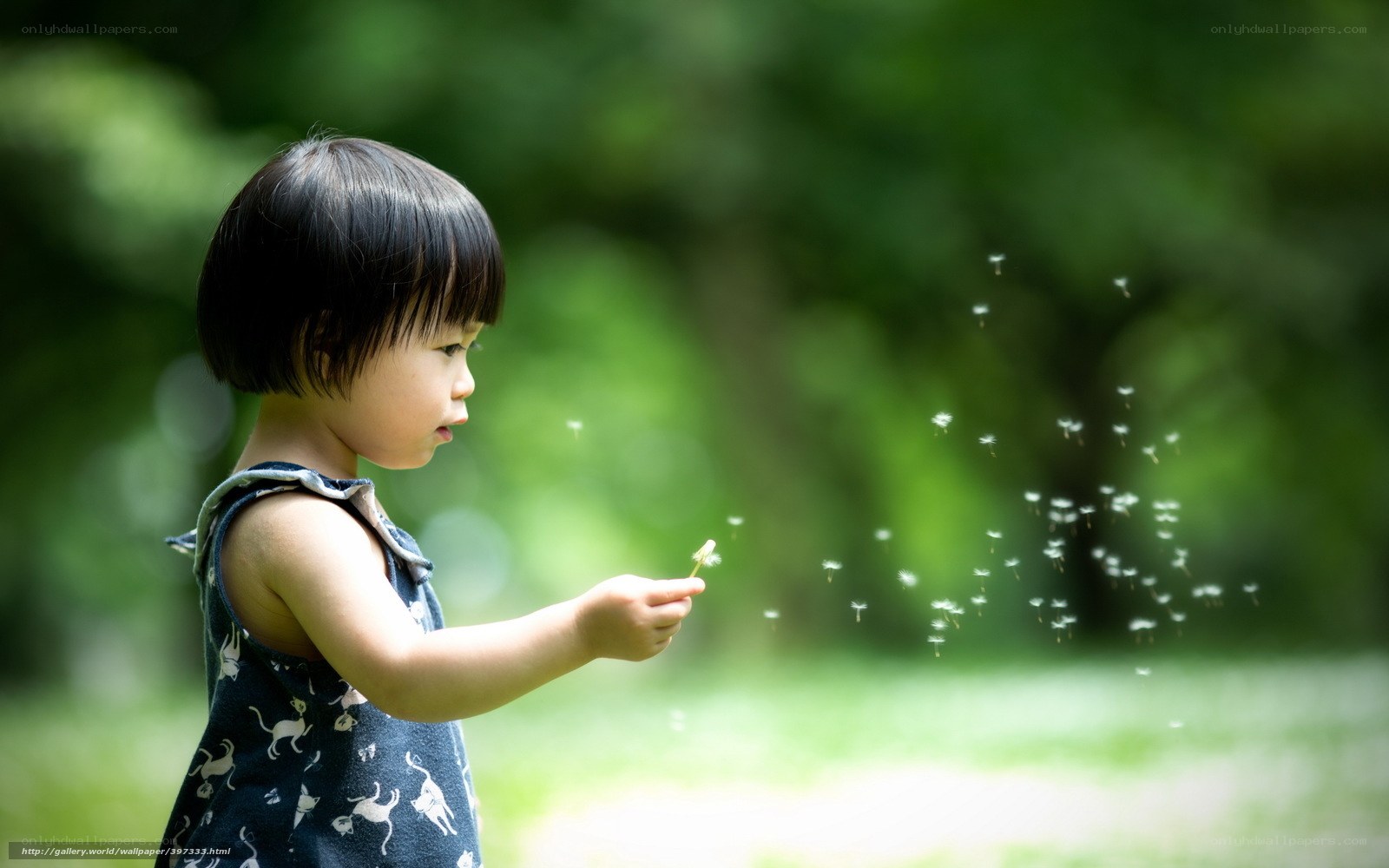 child blowing dandelion seeds