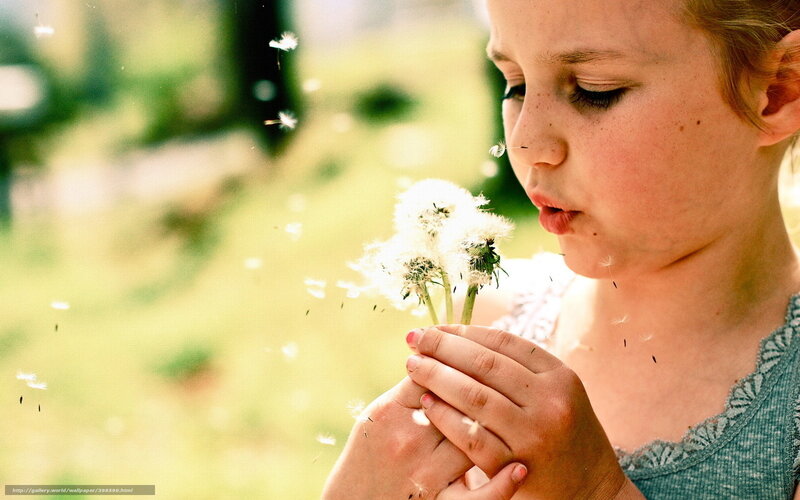 child blowing dandelion seeds