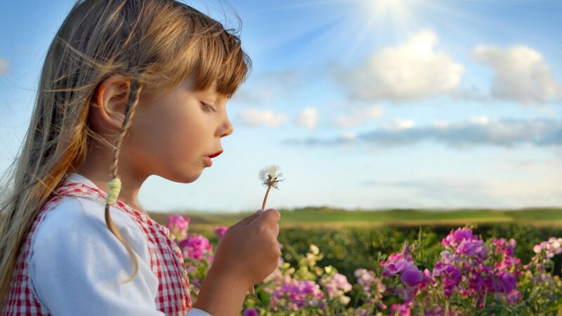child blowing dandelion seeds