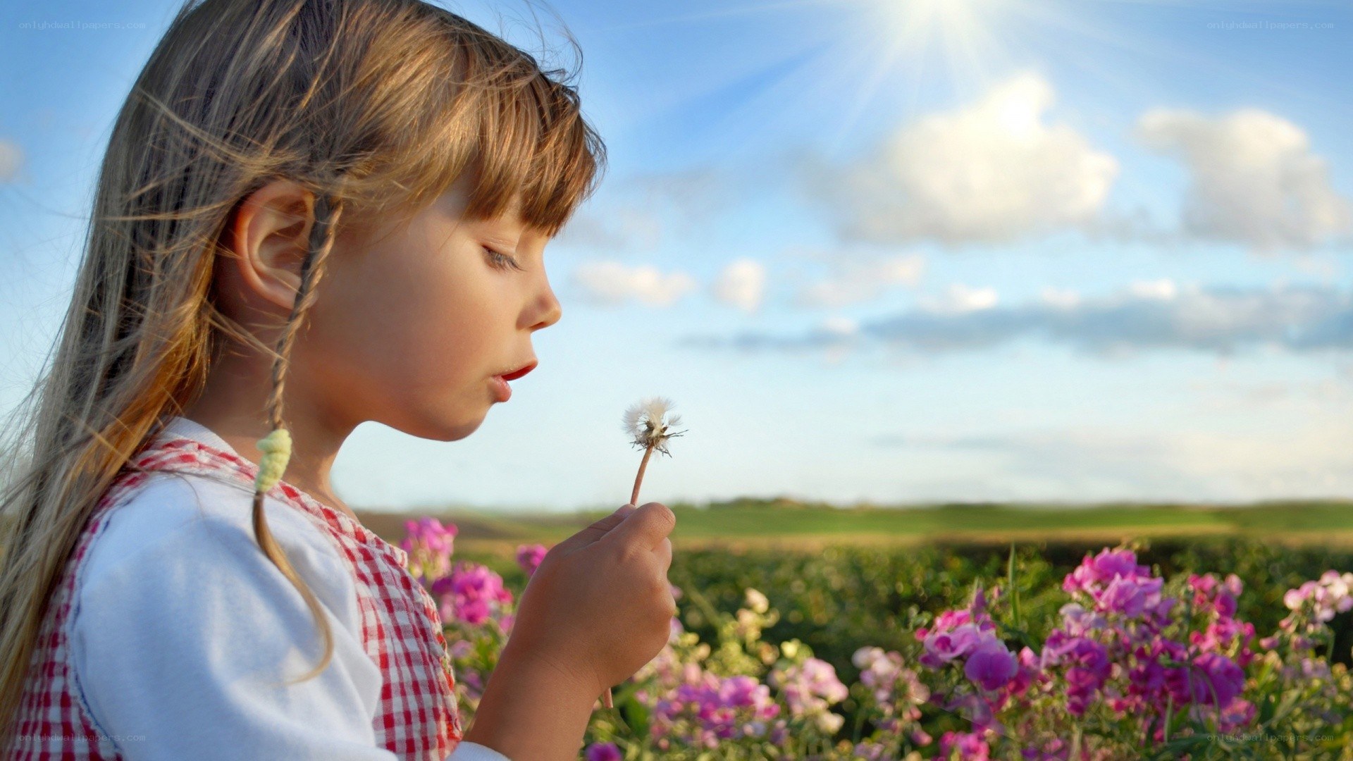child blowing dandelion seeds