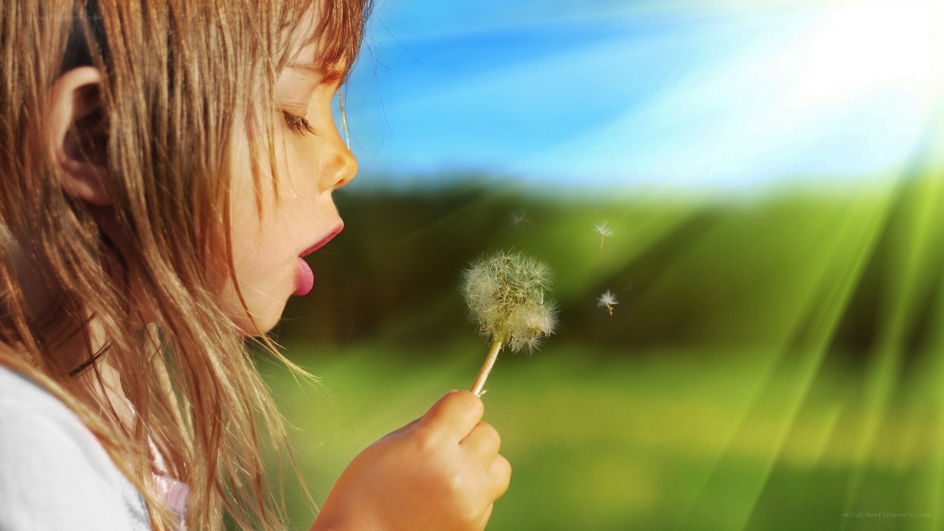 child blowing dandelion seeds
