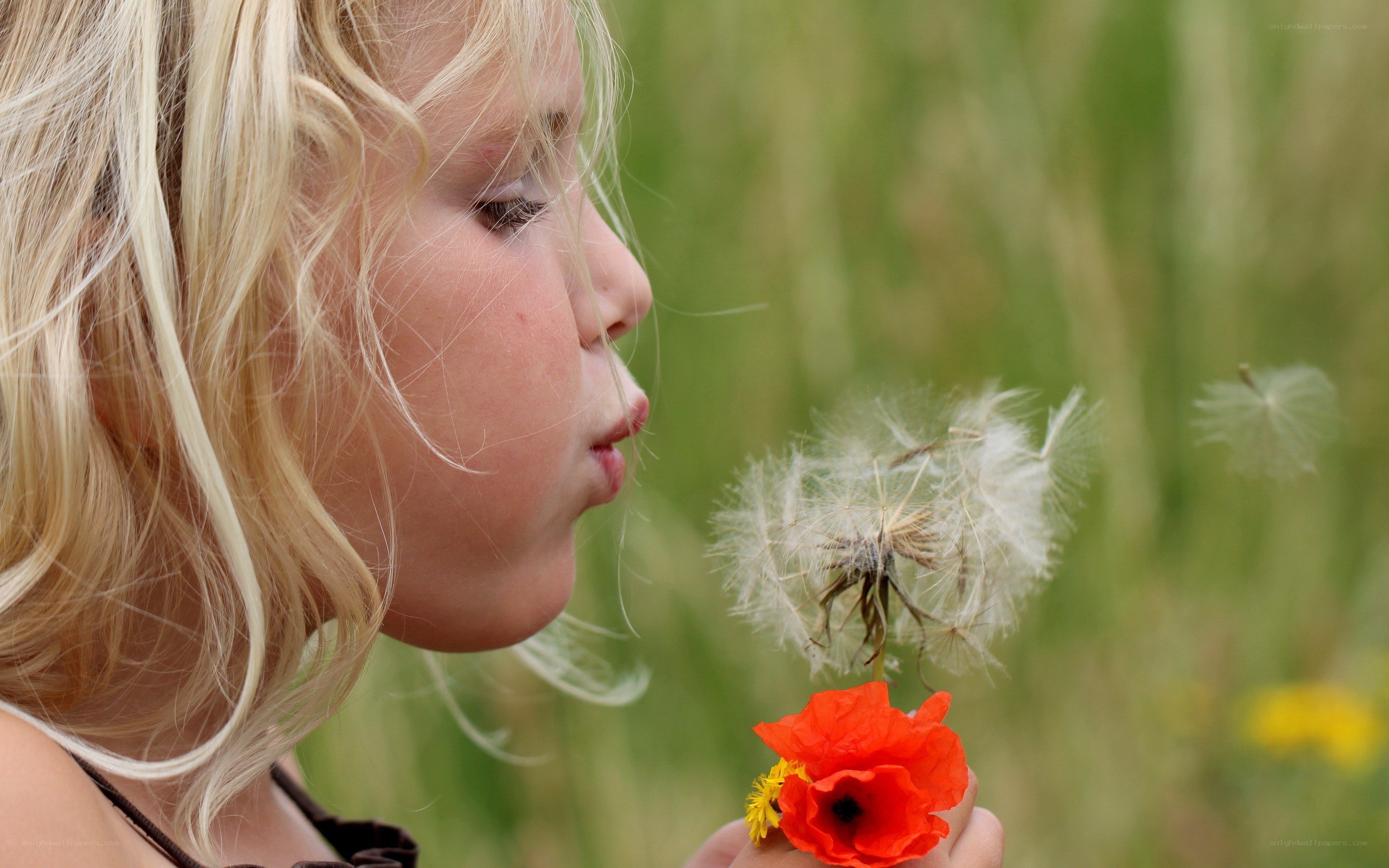 child blowing dandelion seeds