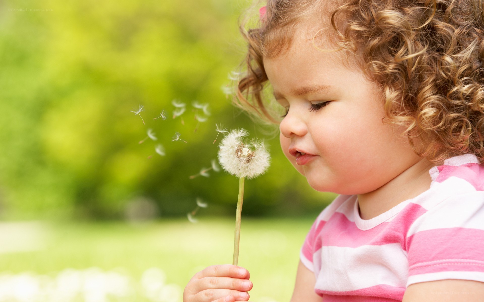 child blowing dandelion seeds
