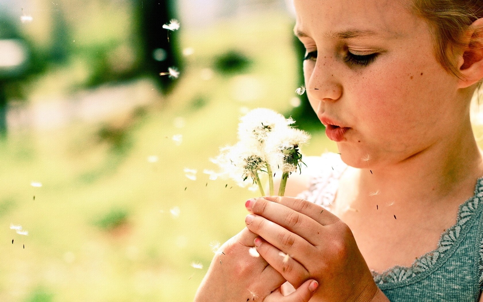 child blowing dandelion seeds